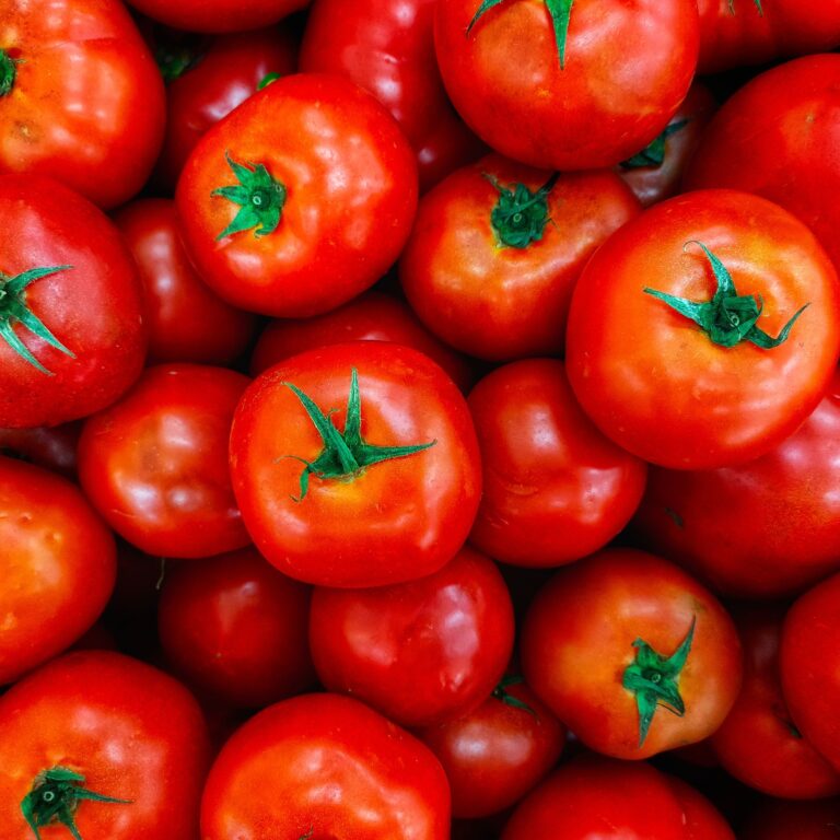 tomate y acido urico