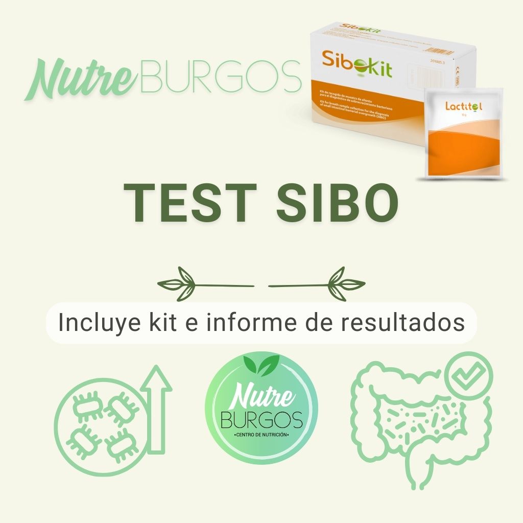 Pagina web servicios